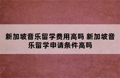 新加坡音乐留学费用高吗 新加坡音乐留学申请条件高吗